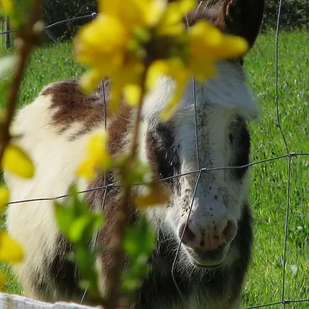 Bed & Breakfast La Maison Des Landes 3*