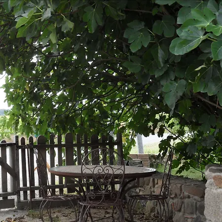 La Maison Des Landes Bed and breakfast