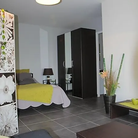 La Maison Des Landes 3* Mouzillon
