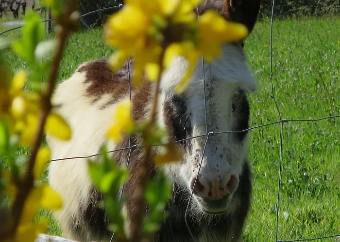 Bed & Breakfast La Maison Des Landes 3*