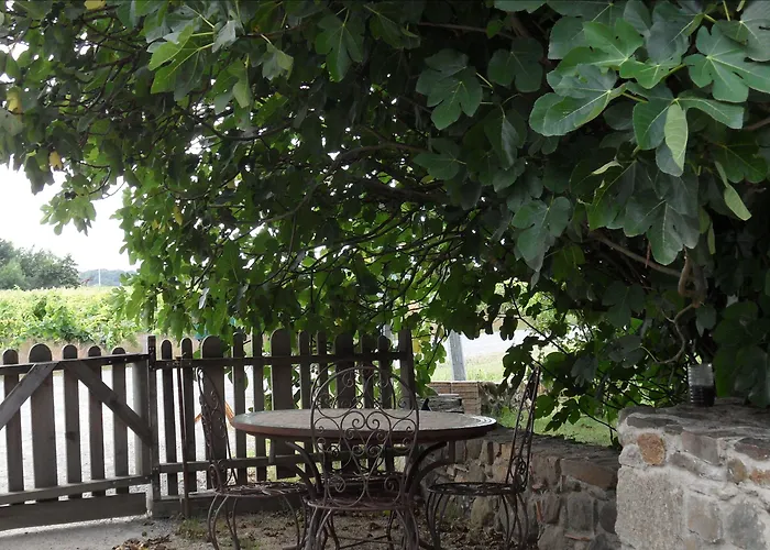 La Maison Des Landes Bed & Breakfast